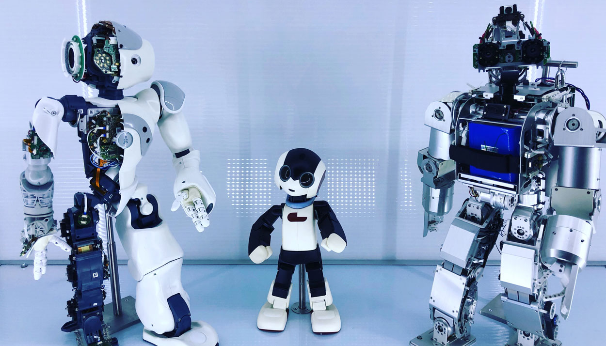 Visita profesional en Japón con guía en español