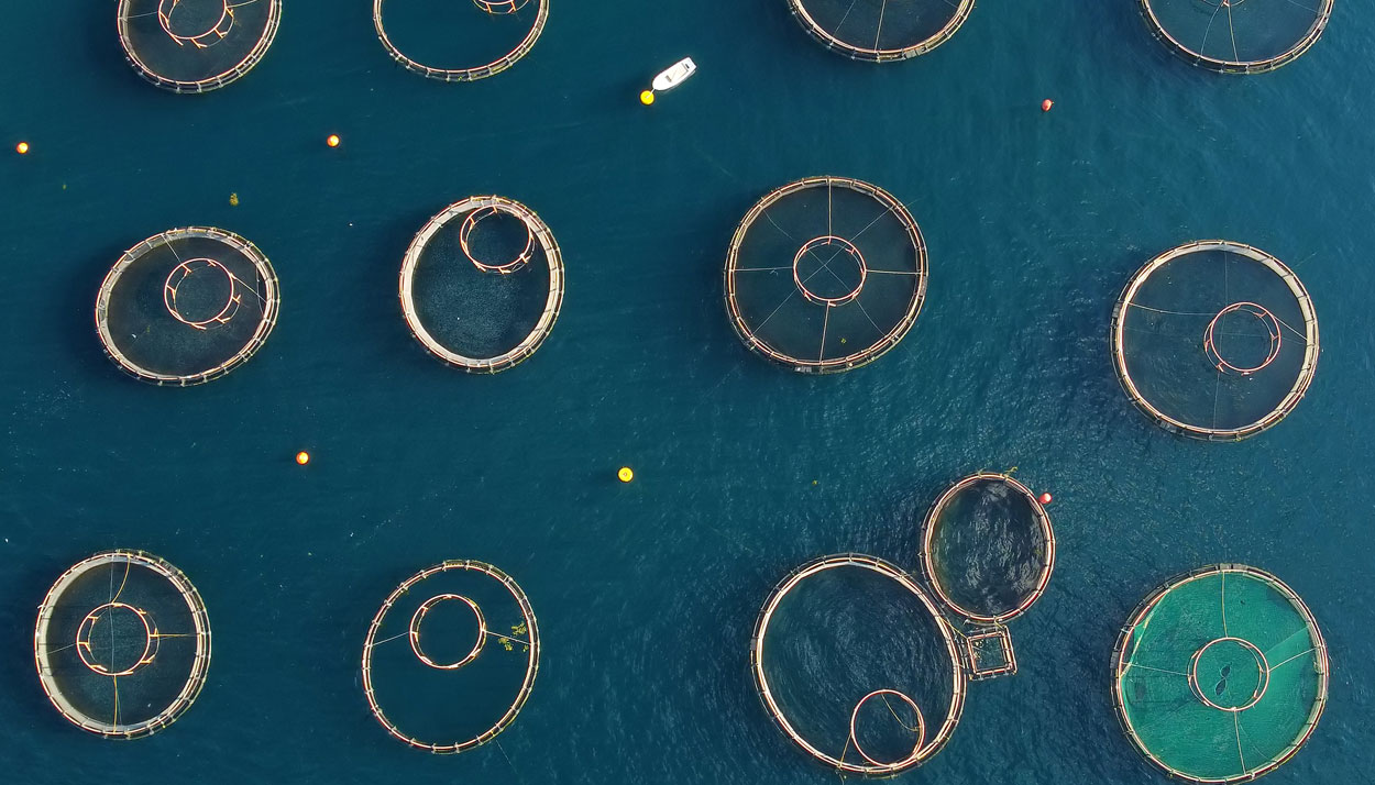 proyecto profesional en Tokio